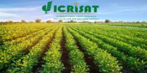 ICRISAT Recruitment 2020